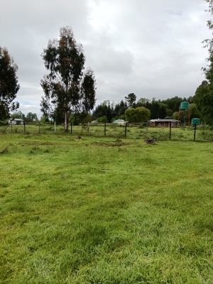 Venta-de-Parcela-en-Mariquina-CUYAN
